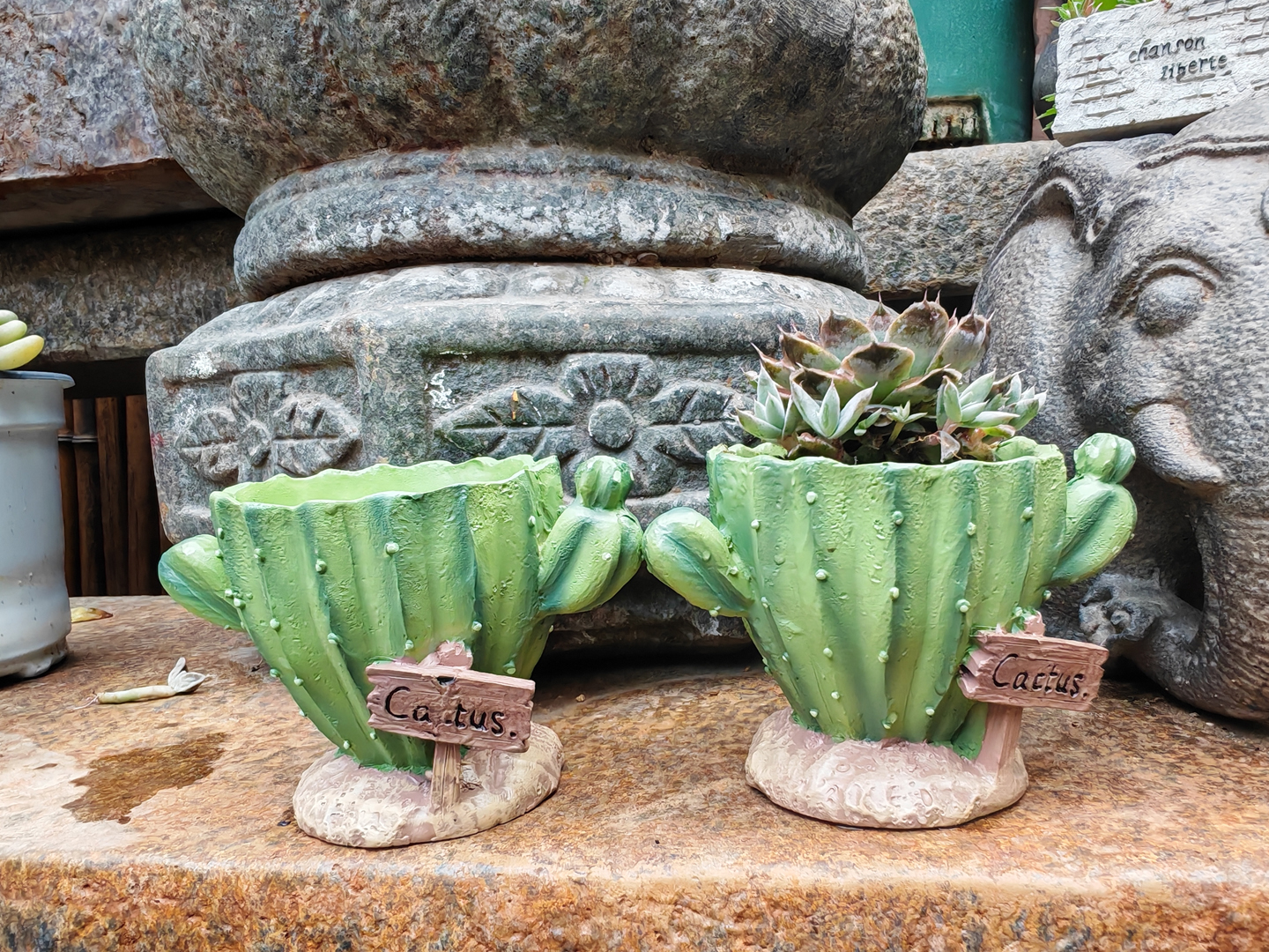 Cactus Mix Pot - Cactus Flower Planter Pot Cute mini