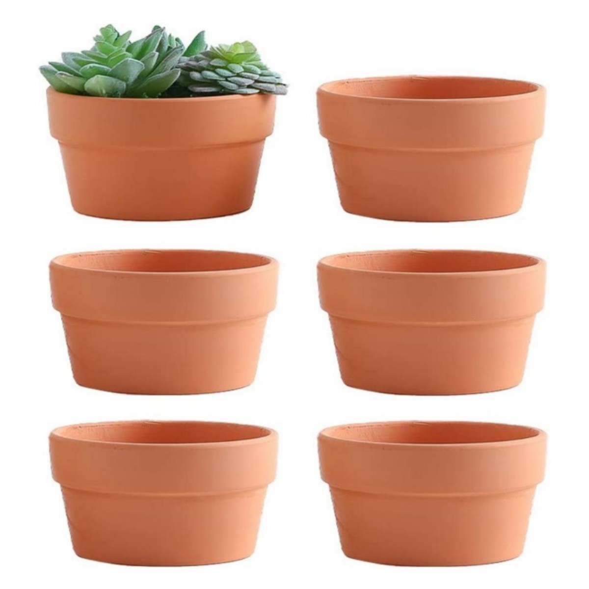 6 PCS Terracotta Buld Pots 3.5 - огляд і ціна Cactus Mix Pot