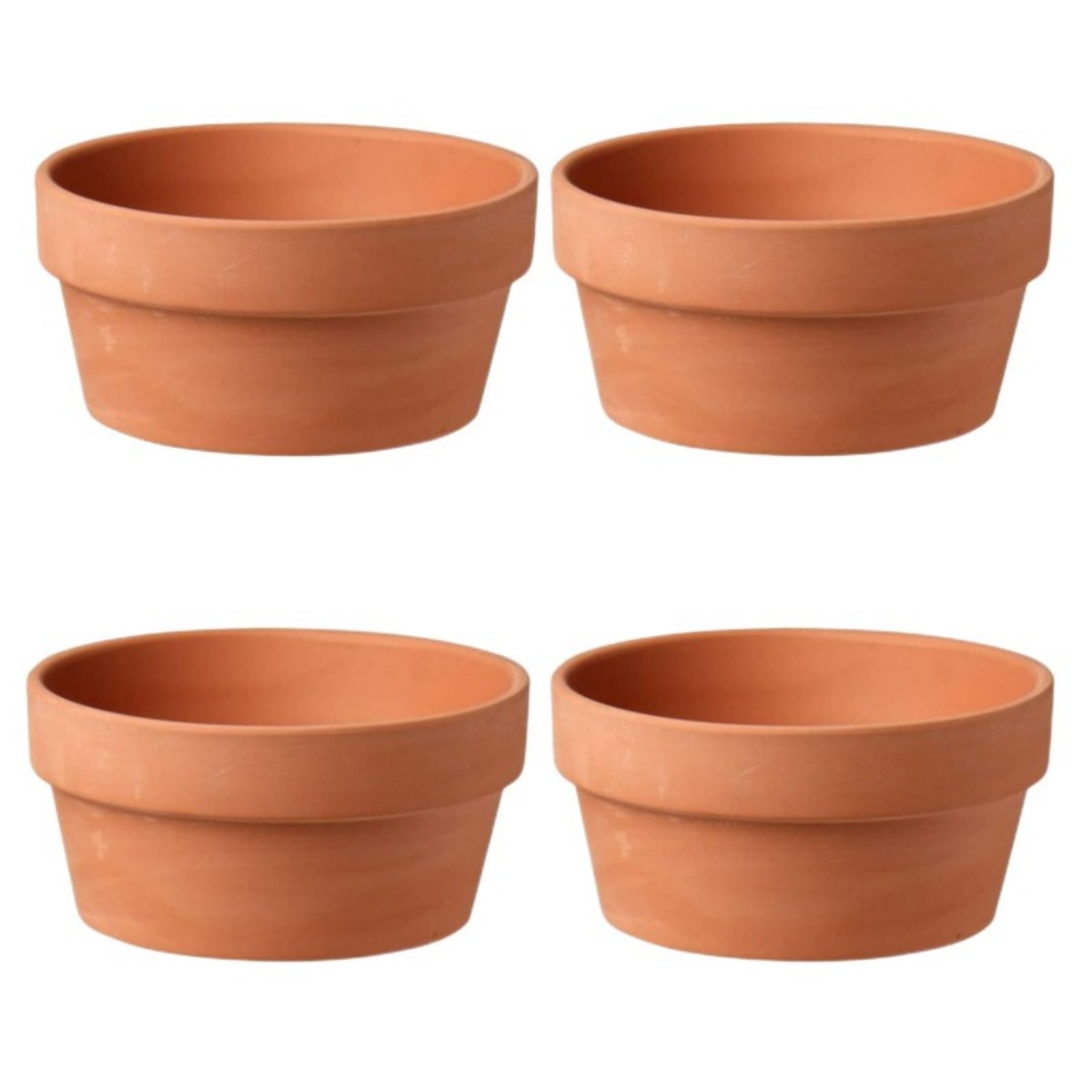 6 PCS Terracotta Buld Pots 3.5 - огляд і ціна Cactus Mix Pot