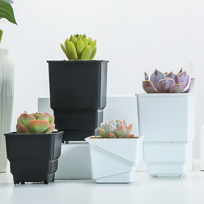 Meshpot Succulent Pot Plastic  - огляд і ціна Cactus Mix Pot