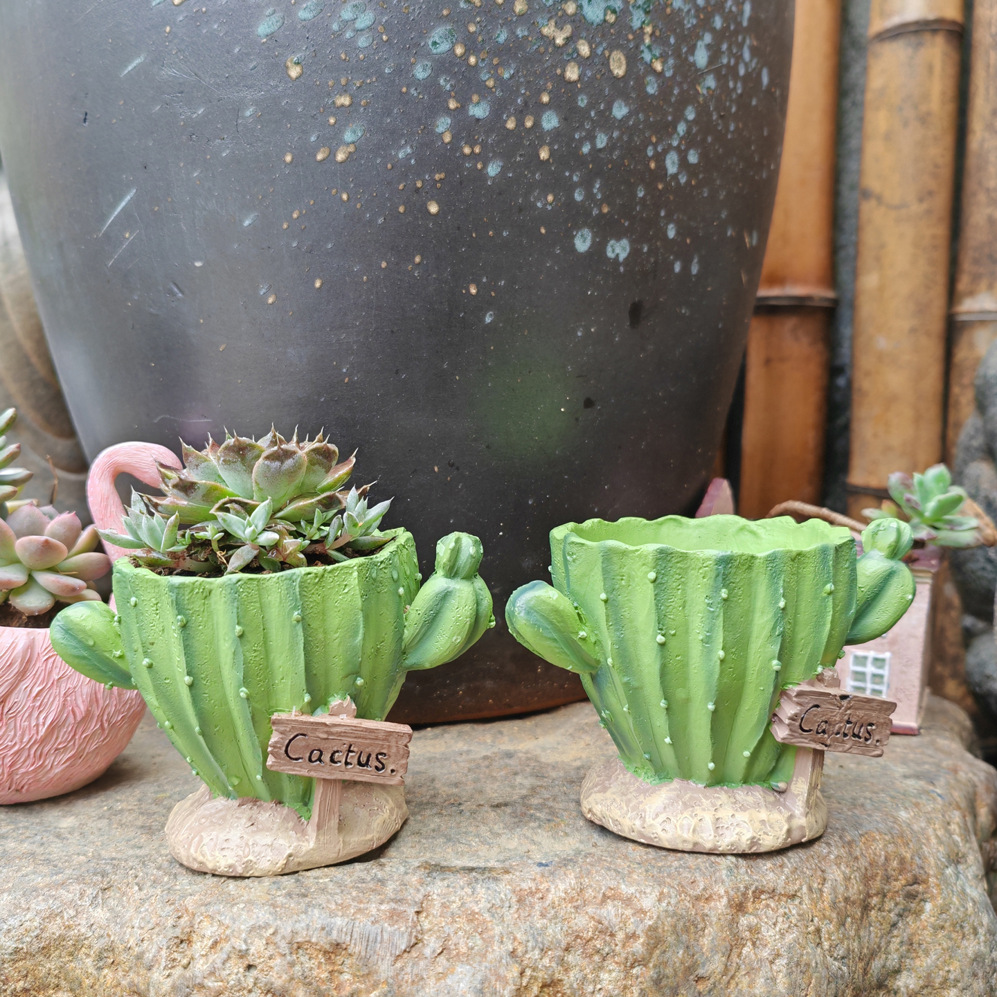 Cactus Flower Planter Pot Cute - огляд і ціна Cactus Mix Pot