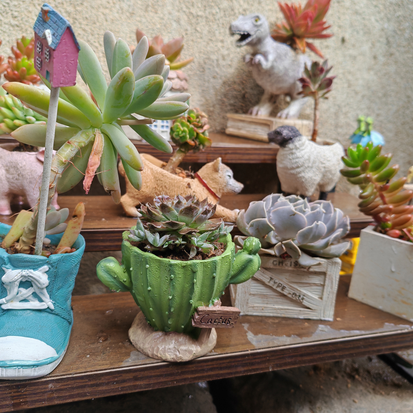 Cactus Flower Planter Pot Cute - огляд і ціна Cactus Mix Pot