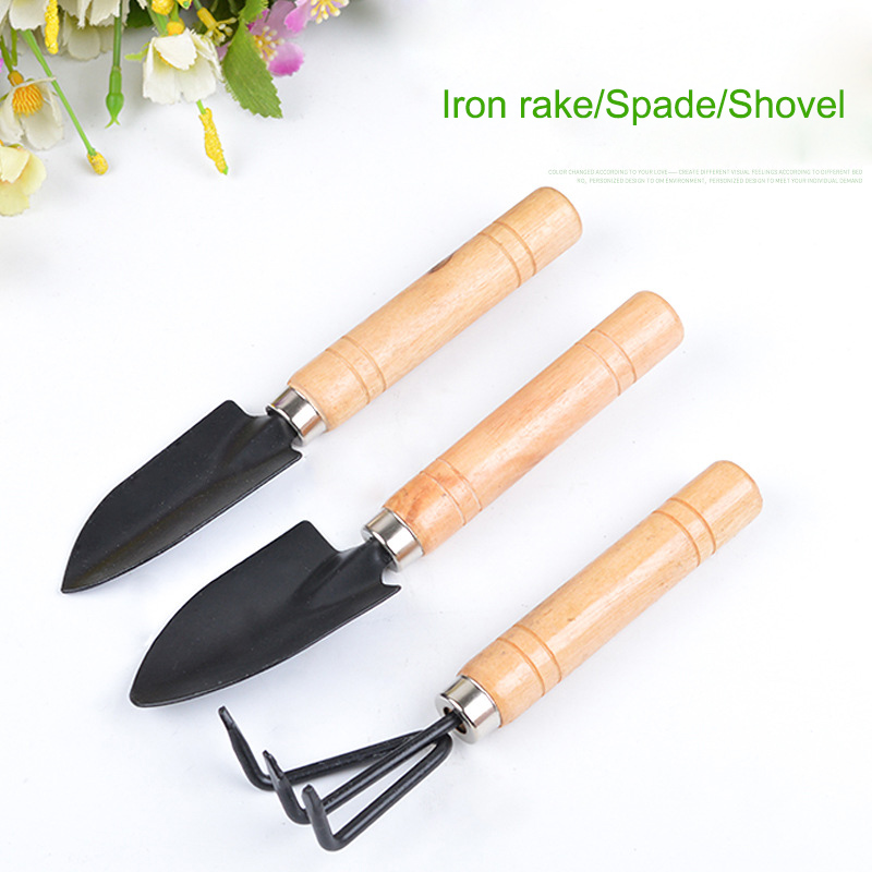3Pcs/Set Mini Garden Tool Set  - огляд і ціна Cactus Mix Pot
