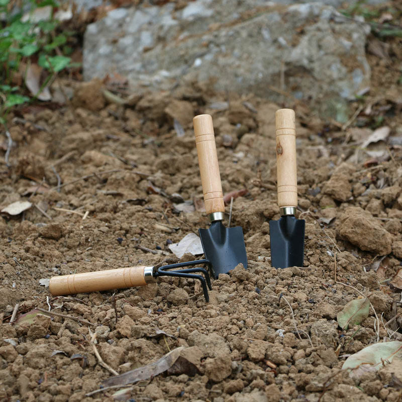 3Pcs/Set Mini Garden Tool Set  - огляд і ціна Cactus Mix Pot