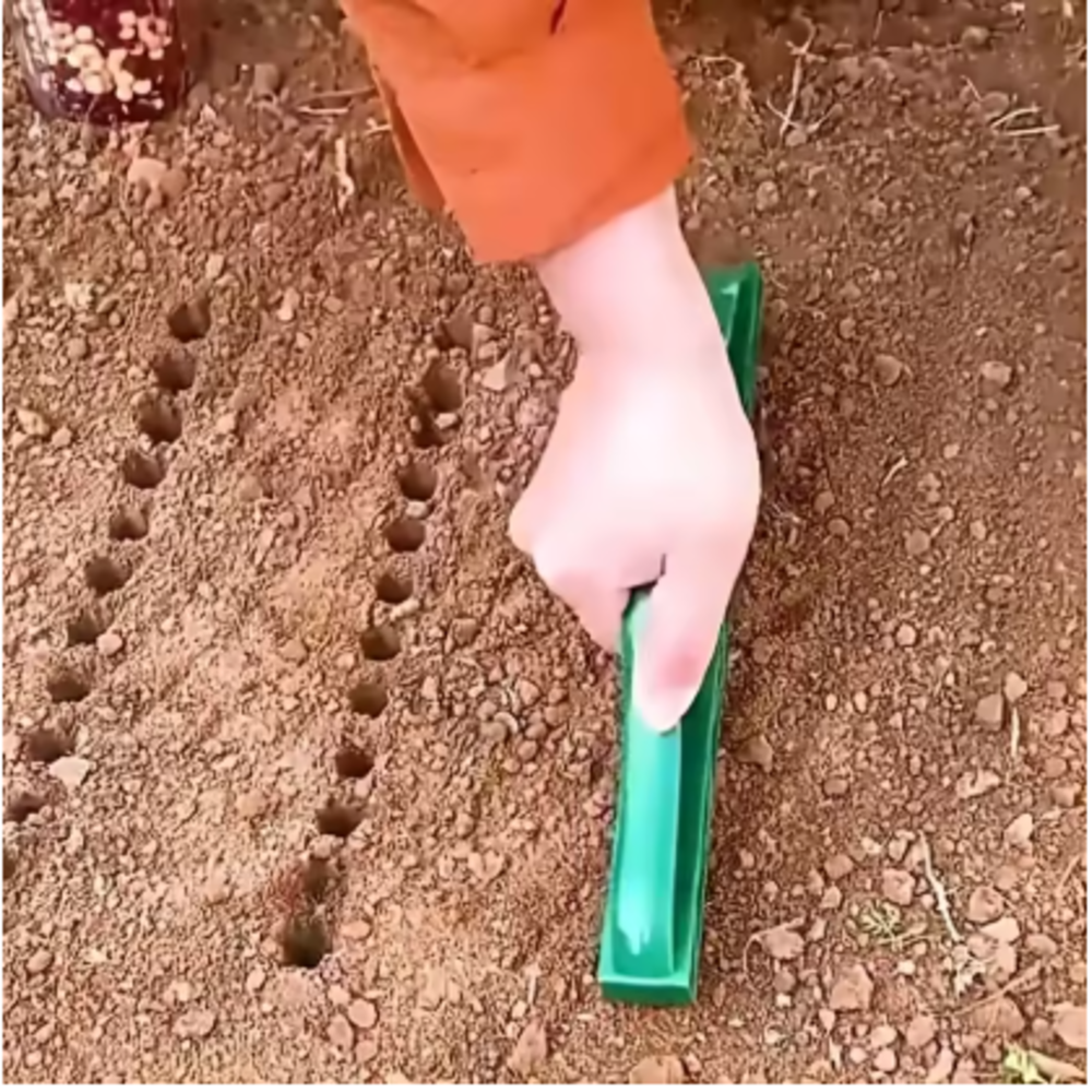 12-Hole Seed Spacer and Seeder - огляд і ціна Plant Parent Tools