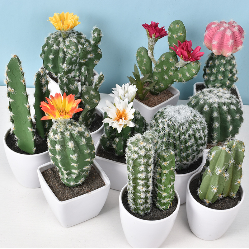 1PC Mini Fake Plastic Cactus W - огляд і ціна Cactus Mix Pot