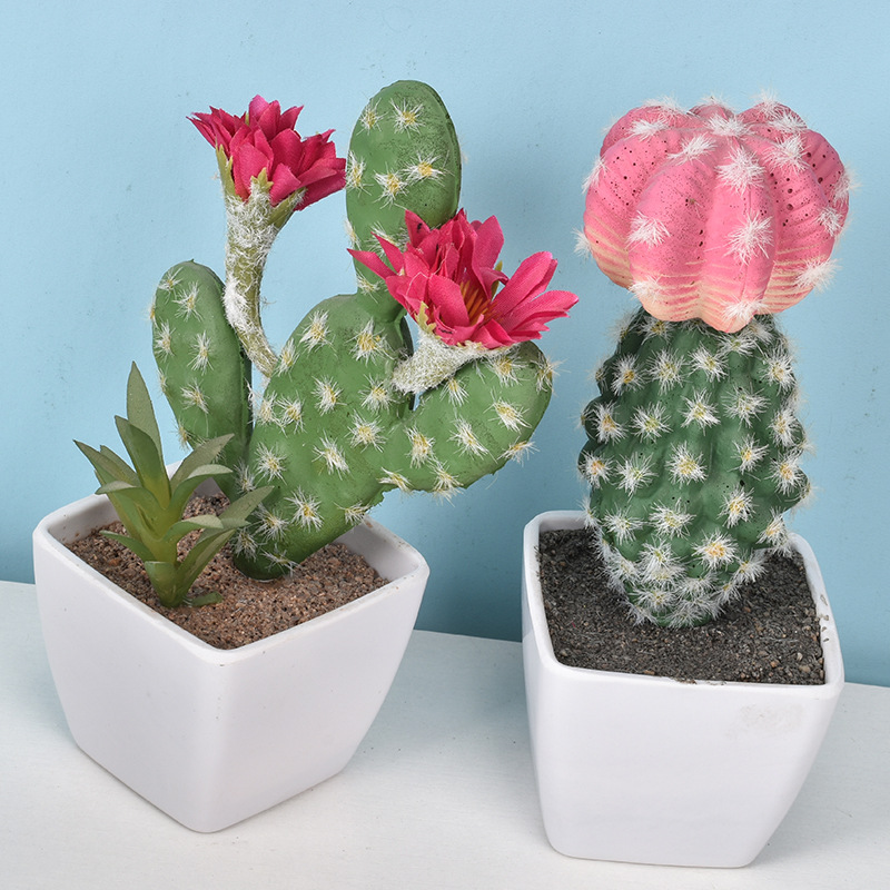 1PC Mini Fake Plastic Cactus W - огляд і ціна Cactus Mix Pot
