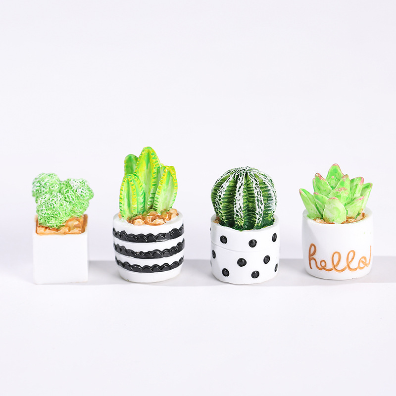 4pcs/Set Of Mini Succulent Pot - огляд і ціна Cactus Mix Pot