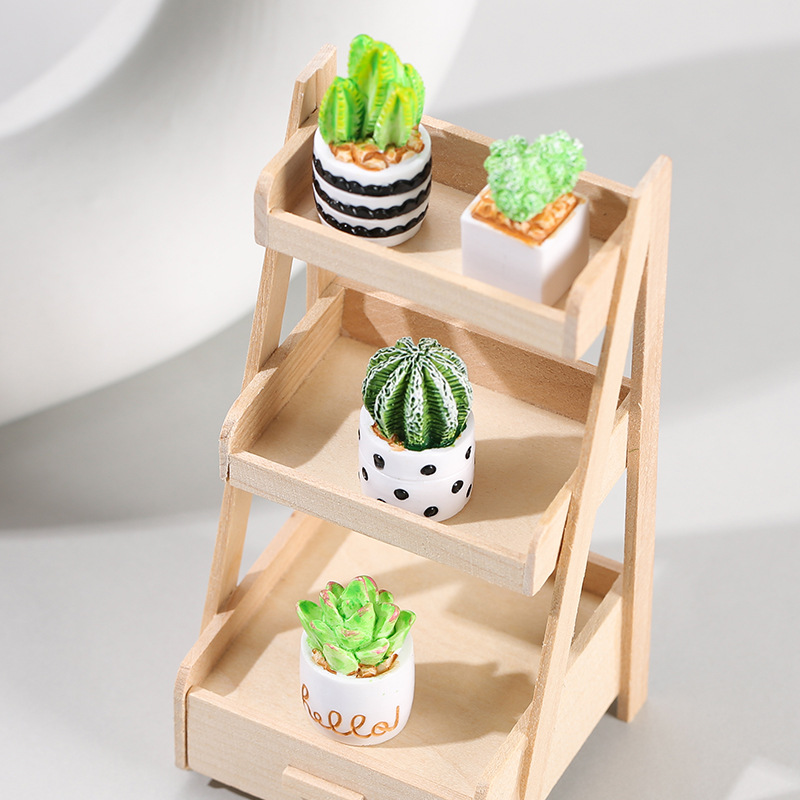 4pcs/Set Of Mini Succulent Pot - огляд і ціна Cactus Mix Pot