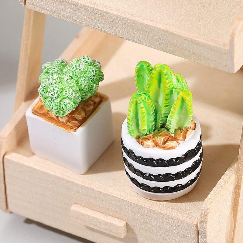 4pcs/Set Of Mini Succulent Pot - огляд і ціна Cactus Mix Pot