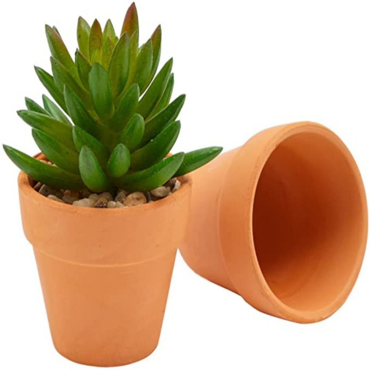 16 Pcs 1.8'' Terra Cotta Pots  - огляд і ціна Cactus Mix Pot