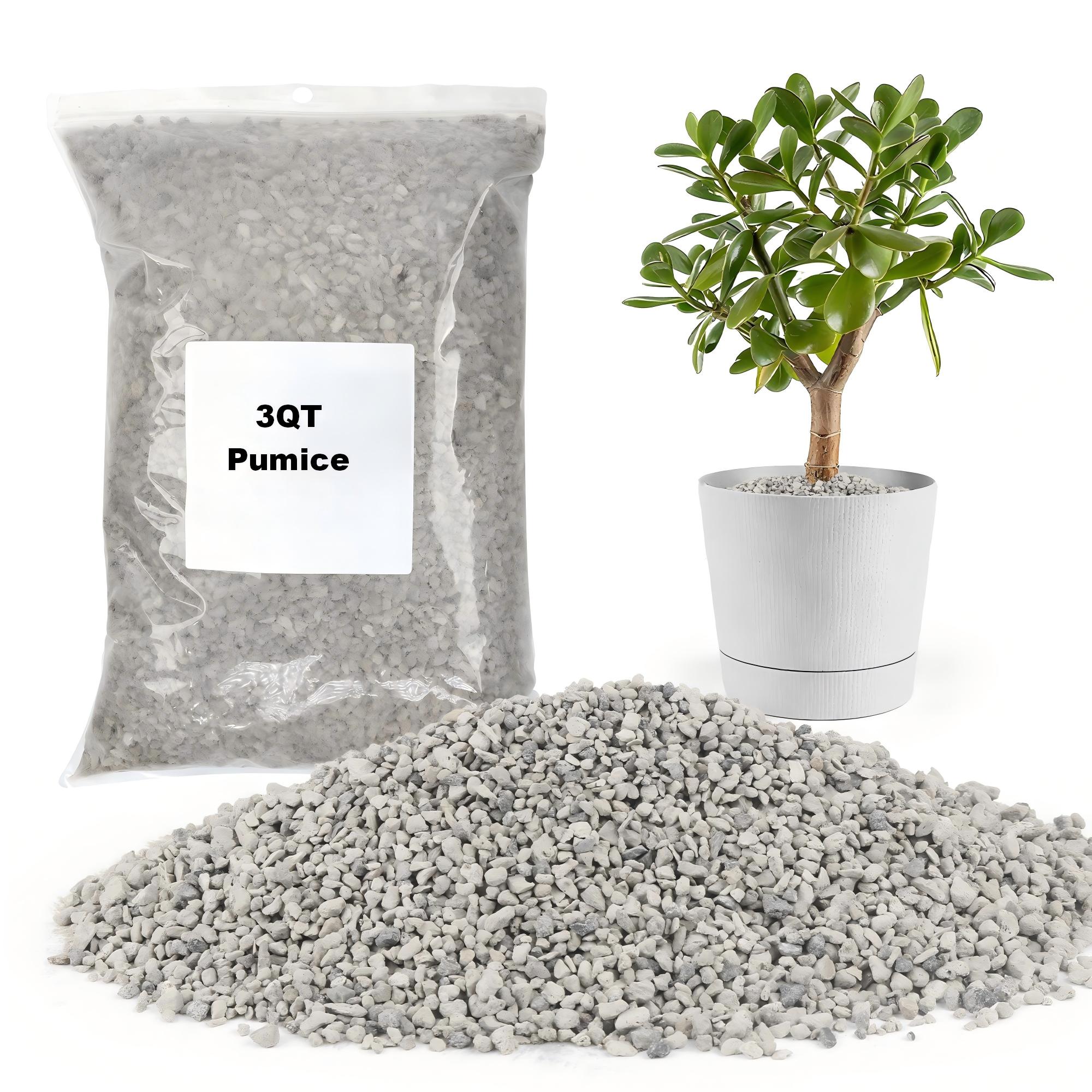 Pumice for Plants, Horticultur - огляд і ціна Cactus Mix Pot