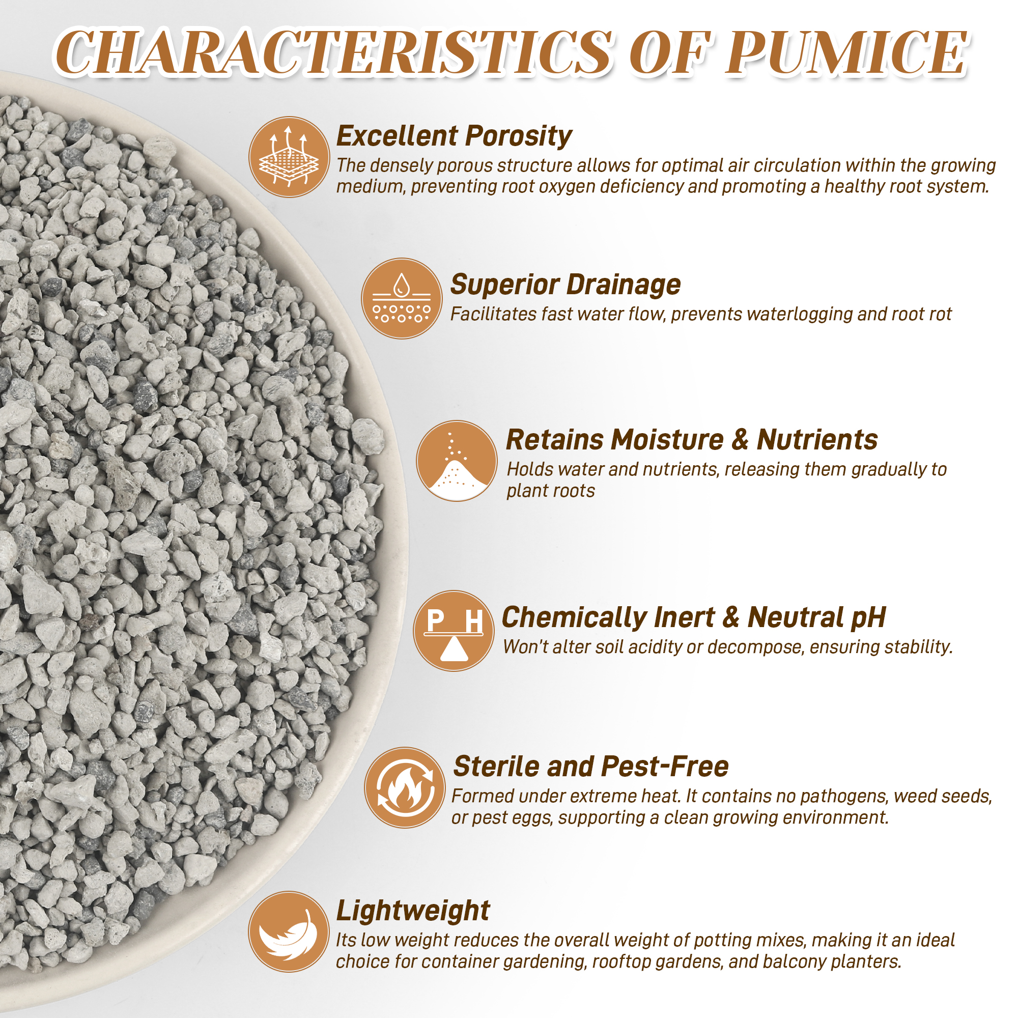 Pumice for Plants, Horticultur - огляд і ціна Cactus Mix Pot