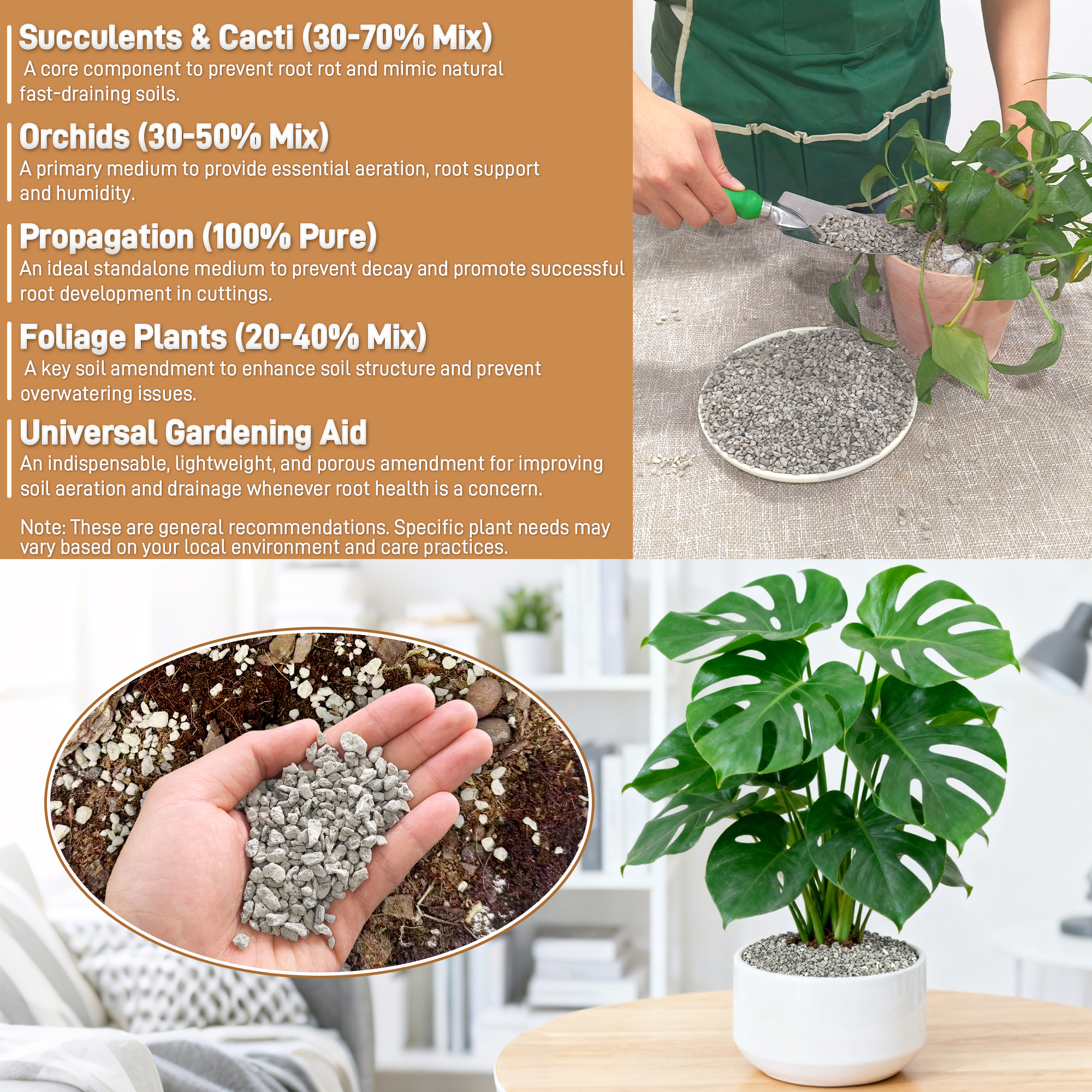 Pumice for Plants, Horticultur - огляд і ціна Cactus Mix Pot