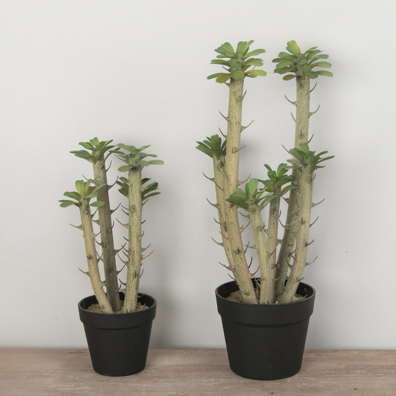 New 30-50cm 1pcs Artificial La - огляд і ціна Cactus Mix Pot