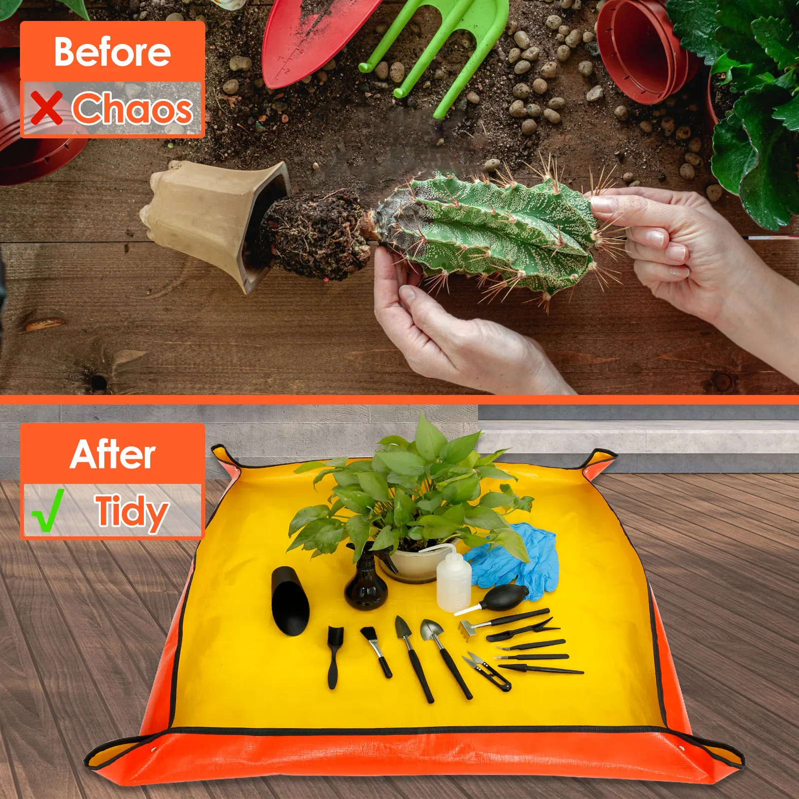 13/16Pcs Garden Succulent Plan - огляд і ціна Plant Parent Tools