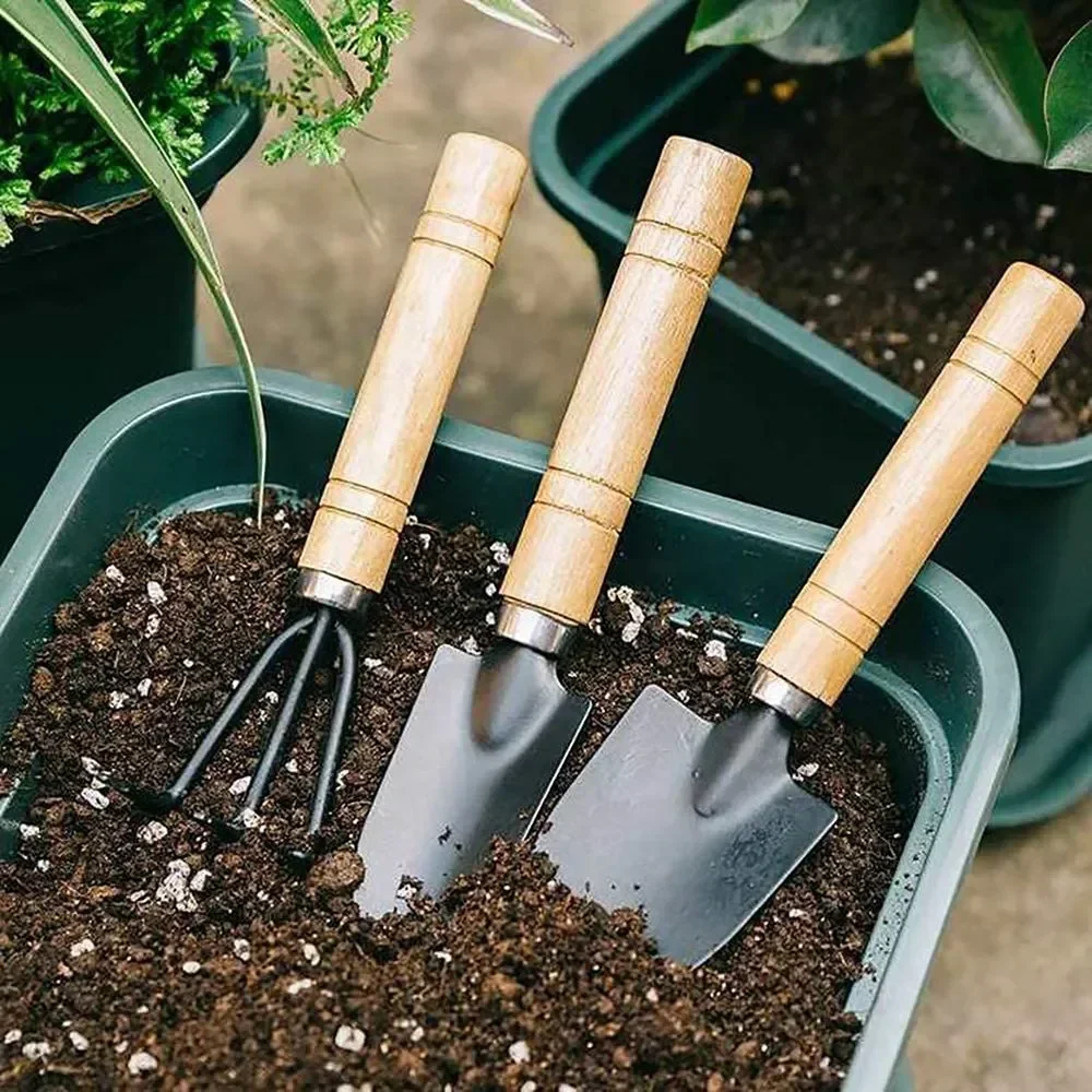 3Pcs/Set Mini Garden Tool Set  - огляд і ціна Cactus Mix Pot