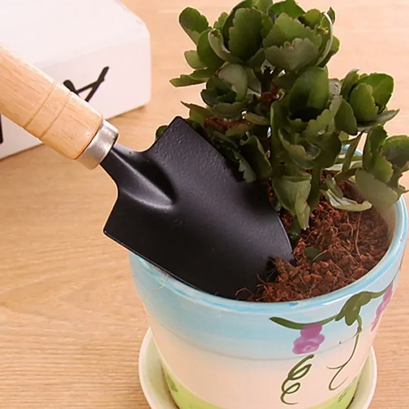 3Pcs/Set Mini Garden Tool Set  - огляд і ціна Cactus Mix Pot