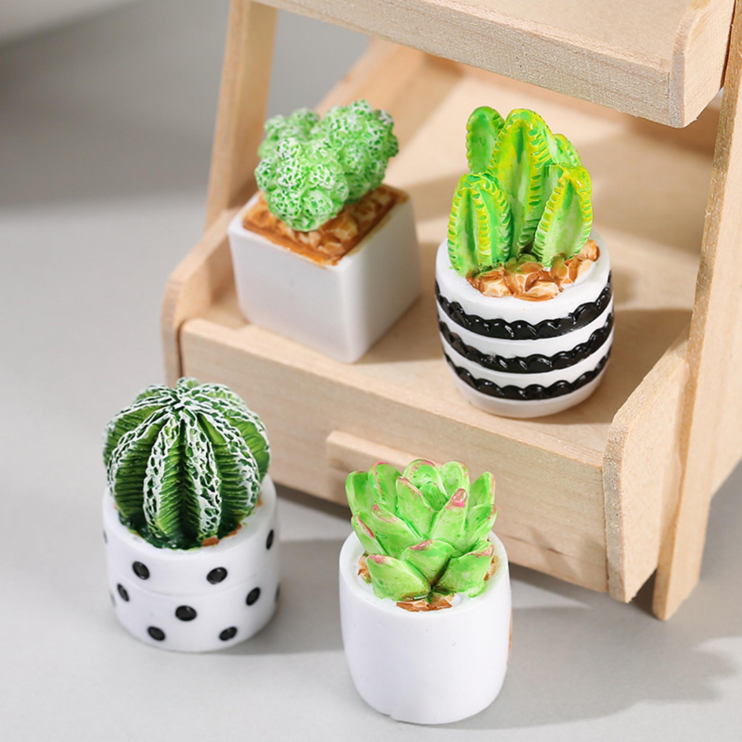 4-Piece Set of Cactus Succulen - огляд і ціна Cactus Mix Pot