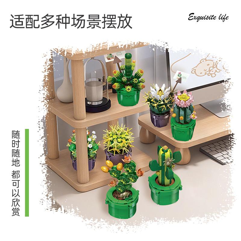 JIE-STAR JJ9175 Cactus Succule - огляд і ціна Cactus Mix Pot