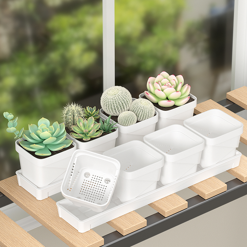 Nordic Minimalist Succulent Po - огляд і ціна Cactus Mix Pot
