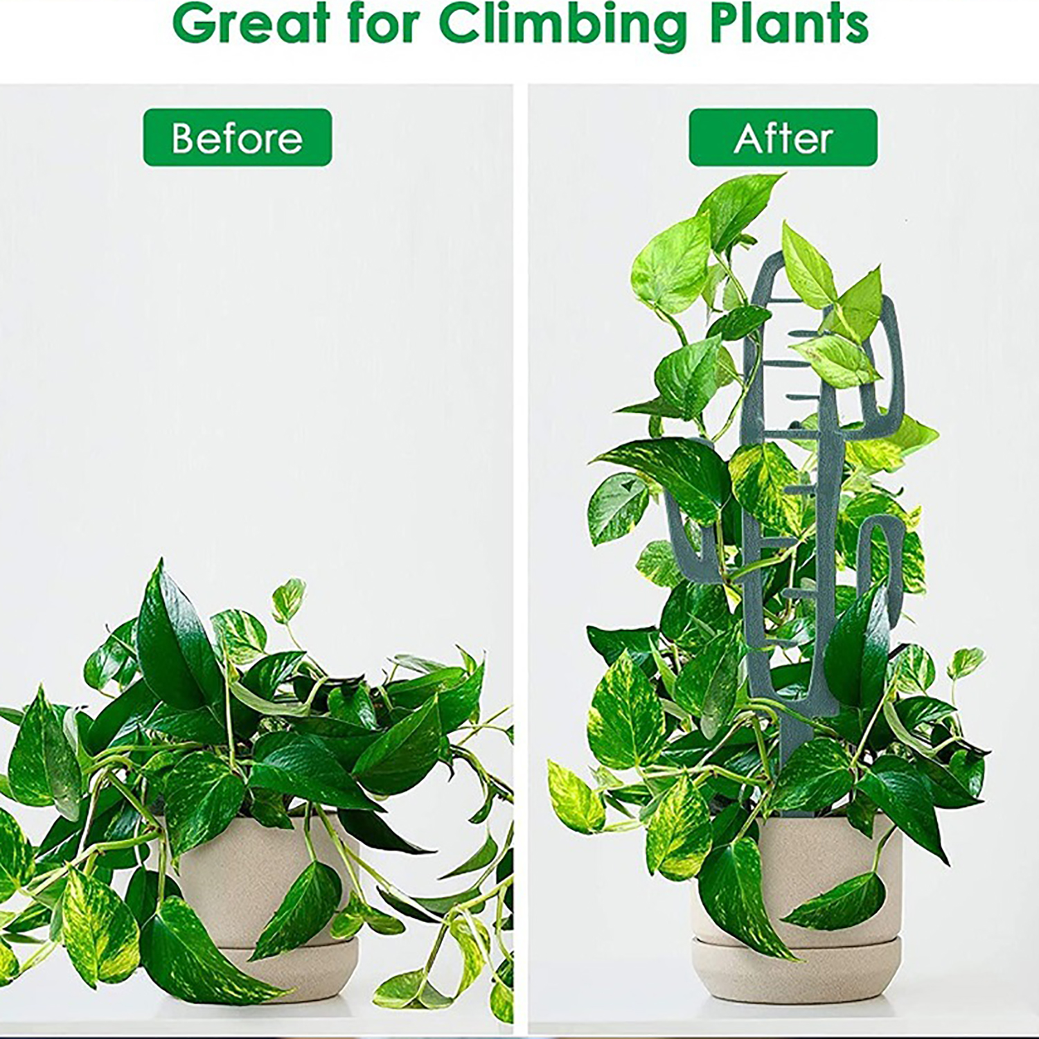 Plant Climbing Support Stand F - огляд і ціна Cactus Mix Pot