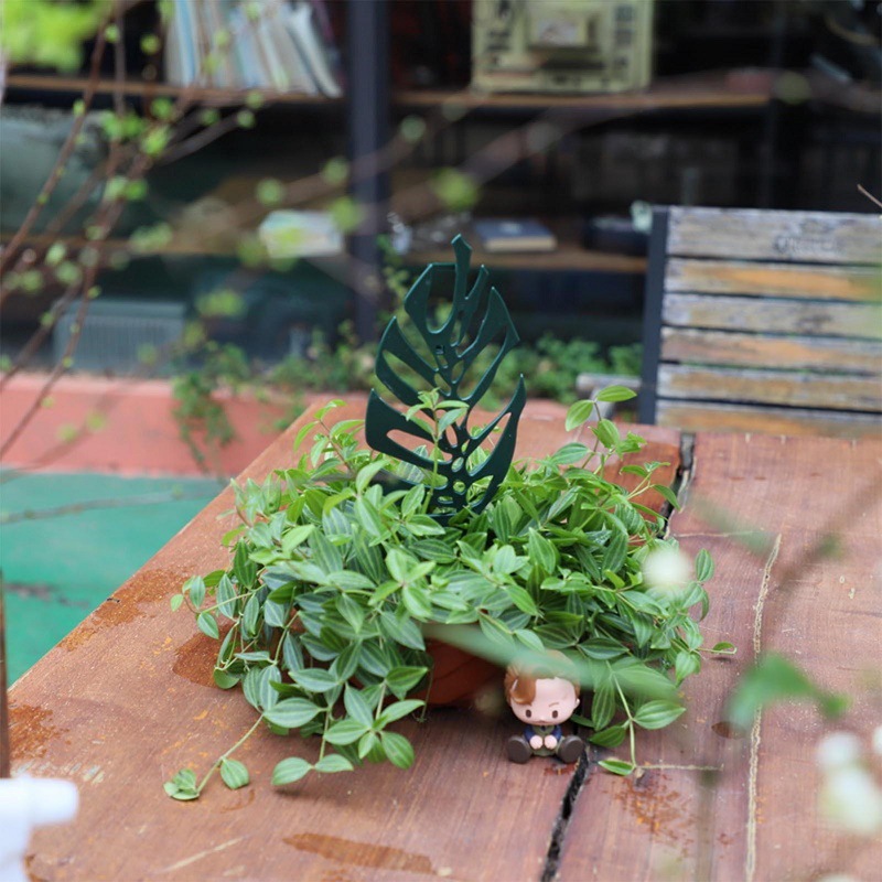 Plant Climbing Support Stand F - огляд і ціна Cactus Mix Pot