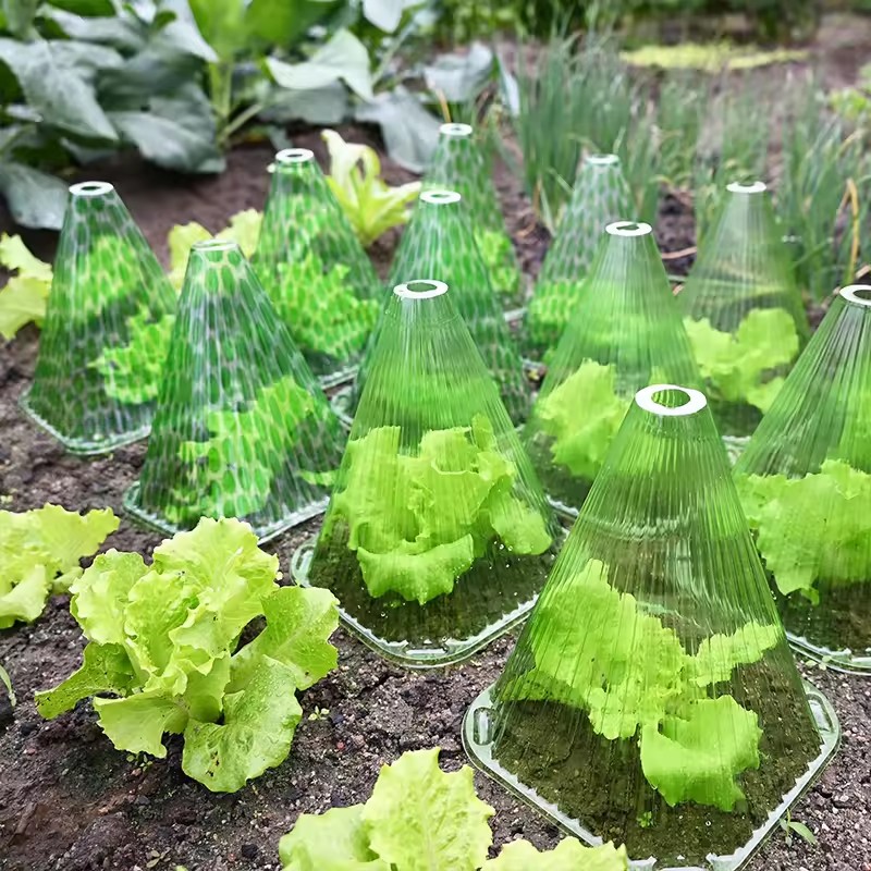 10/20pcs Plant Protective Cove - огляд і ціна Plant Parent Tools