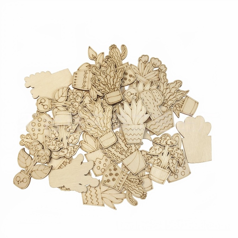 50PCS Mixed Styles Flower Cact - огляд і ціна Cactus Mix Pot