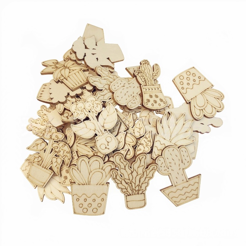 50PCS Mixed Styles Flower Cact - огляд і ціна Cactus Mix Pot